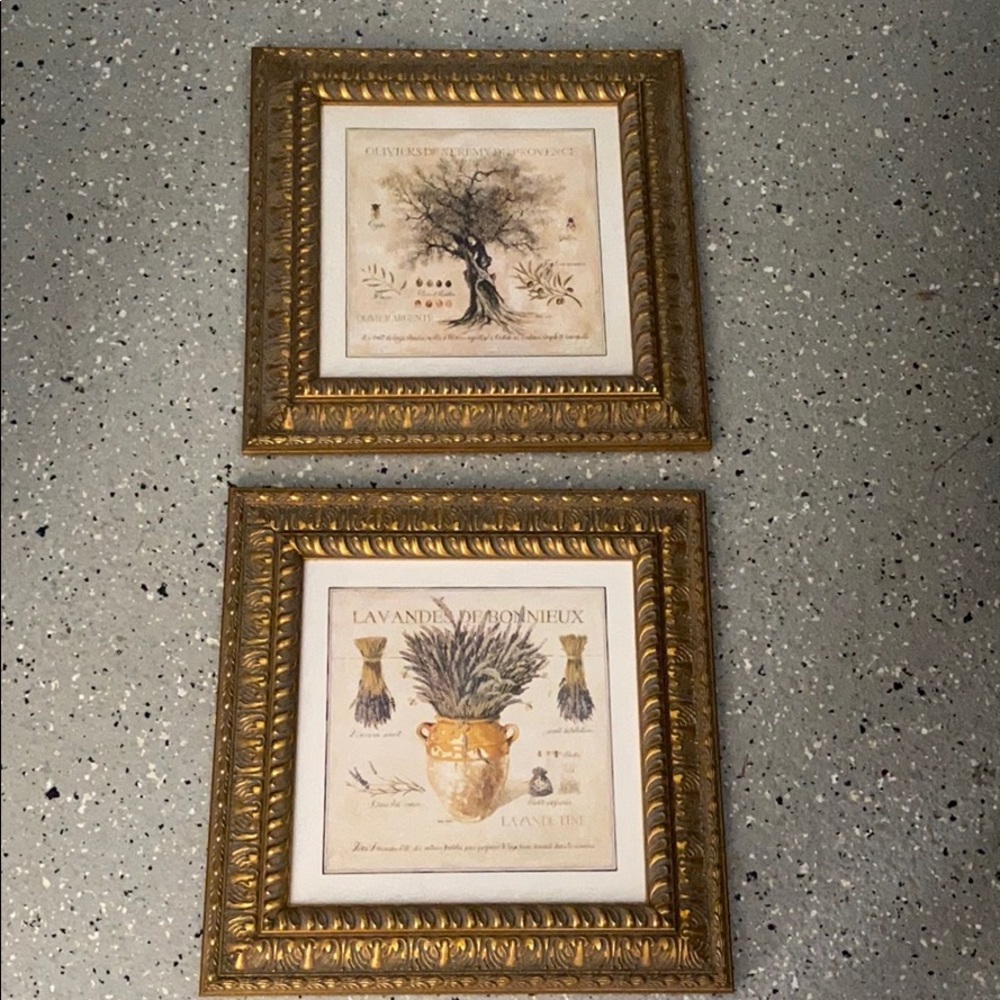 Two French inspired pictures with gold frames